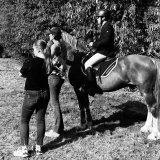 Nathalie Nicolle coachant un groupe de jeunes cavaliers des Écuries du Mas en concours