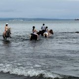 Cavaliers des Écuries du Mas dans l'eau à la mer avec leurs chevaux