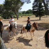 Cavaliers des Écuries du Mas en ballade à cheval dans les Alpilles