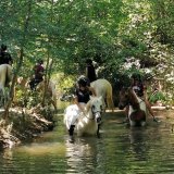 Cavaliers des Écuries du Mas en ballade à cheval à la rivière