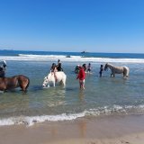 Cavaliers des Écuries du Mas en ballade à cheval à la mer