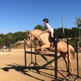 Enfant en cours aux Écuries du Mas à Lançon de Provence