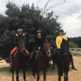 Trois chevaux frères