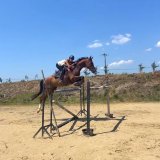 Nathalie Nicolle entrainant un cheval aux Écuries du Mas à Lançon de Provence