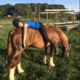 Enfant se reposant sur la croupe d'un cheval