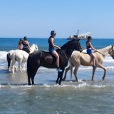 Cavaliers des Écuries du Mas en ballade à cheval à la mer