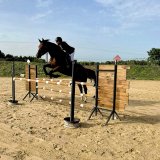 Cavalière des Écuries du Mas en concours.