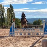 Cavalier des Écuries du Mas en concours à l'extérieur.