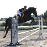 Nathalie Nicolle des Écuries du Mas en concours à l'extérieur.