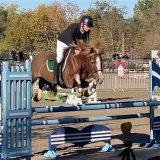 Cavalier des Écuries du Mas en concours à l'extérieur.